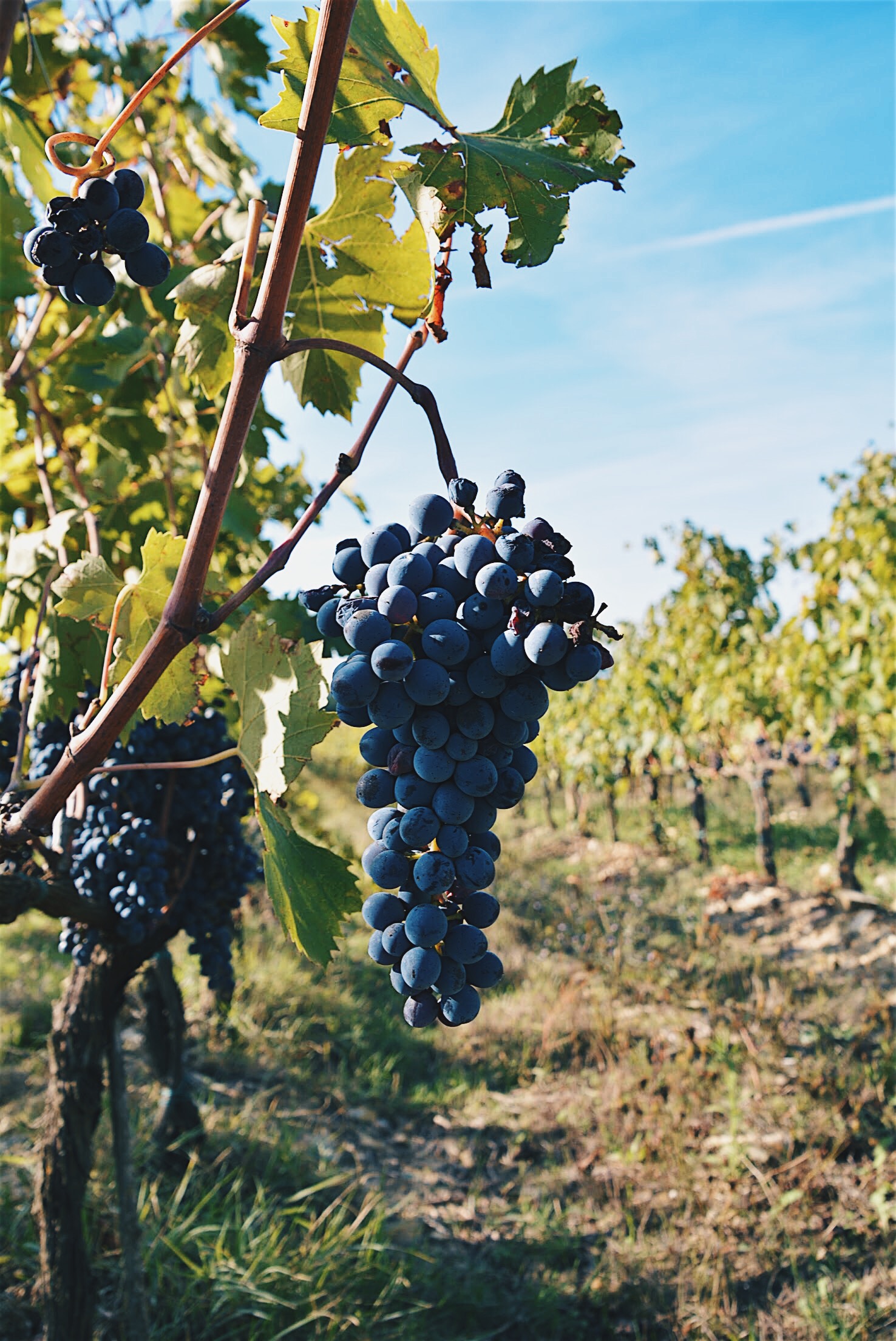 Processed with VSCO with hb2 preset