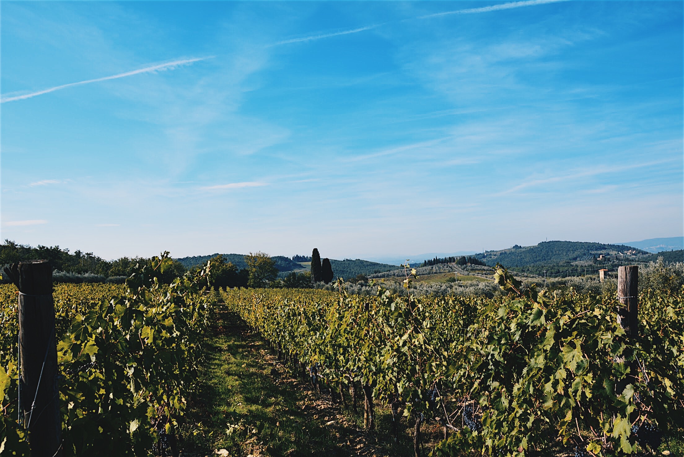 Processed with VSCO with hb2 preset